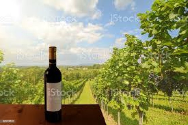 ACHETER LES VINS EN PRIMEUR