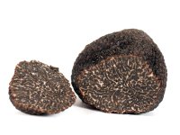 Truffe du périgord