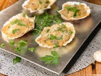 coquille St Jacques de la terre