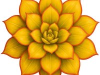 Sempervivum 'Tesoro'