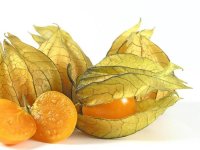 Coqueret du Pérou - Physalis peruviana - Sachet 40 graines