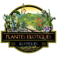 Plateforme plantes exotiques rustiques